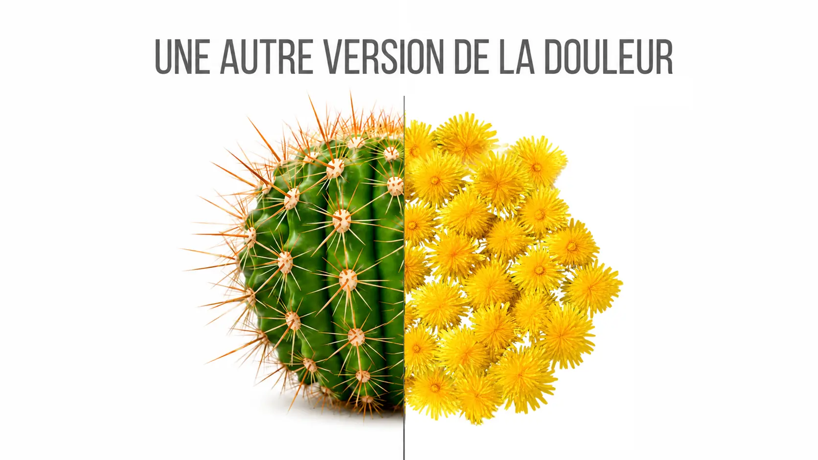 Quand le corps parle : soulager les douleurs somatiques par l'Hypnose et la PNL
